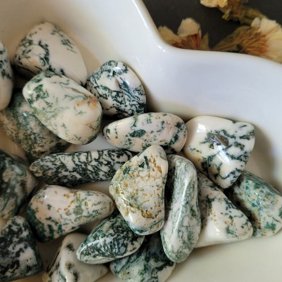 🍒 5 for $11 TREE AGATE crystal tumbled stone - Picture 1 of 6
